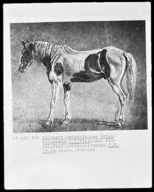 Das Fiakerpferd