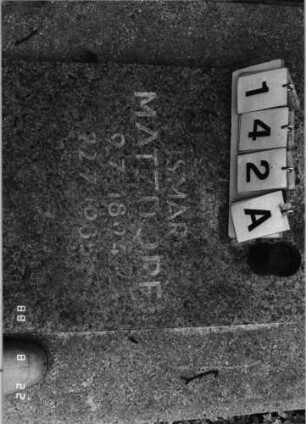 Grabstein 142 (Index: 100080372) Material: Granit Zustand: gut, Schrift weiß ausgemalt aber ausgewaschen Beschreibung: Grabplatte mit rechteckiger erhabener Schriftplatte Symbolik: Davidstern: Grabstein 142A