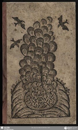 Palaty Sczjepołz na kotrymż Hanß Wenk s Lubjenza ton 3. April. 1772. pola Wahowa spaljeny by : k Napominanju