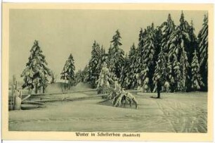 Schellerhau. Blick auf Schellerhau im Winter