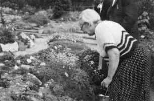 Eva Klemperer im Botanischen Garten in Schellerhau. Papier; 6,1 x 8,9 cm. Aufnahme: Hans Lindner, 1951. Dresden: SLUB Mscr.Dresd.App.Klemperer,Hadwig