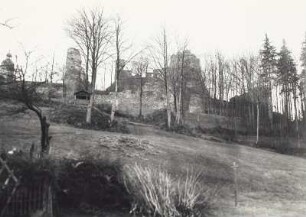 Ruine der Burg Frauenstein
