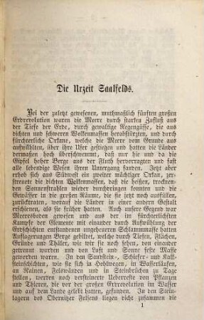 Wagner's Chronik der Stadt Saalfeld im Herzogthum Sachsen-Meiningen