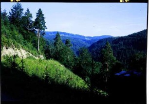 Streitberg: Muckental beim Tanzbühl