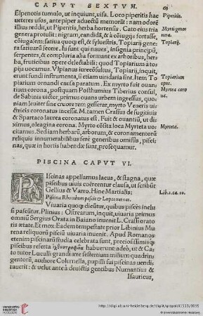 Cap. VI.: Piscina […]