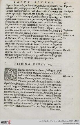 Cap. VI.: Piscina […]