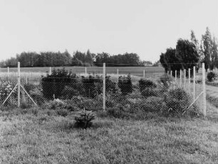 Eingezäunter Garten