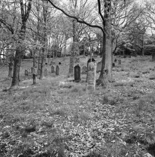 Jüdischer Friedhof (Jüdischer Friedhof); Oestrich-Winkel, Räuscherberg