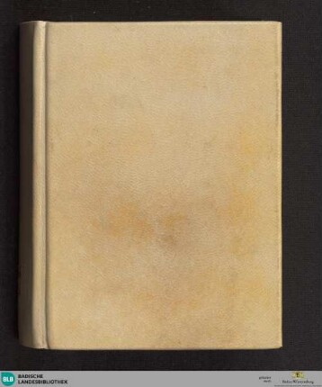 Mystische Sammelhandschrift, deutsch - Cod. Schwarzach 19
