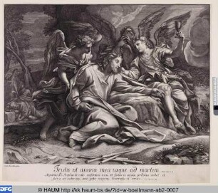 Christus in Gethsemane