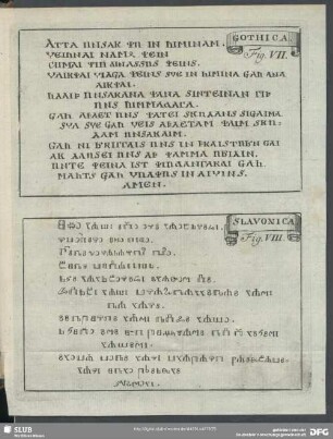 Fig. VII, Fig. VIII