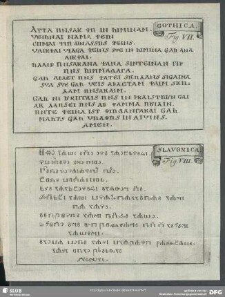 Fig. VII, Fig. VIII
