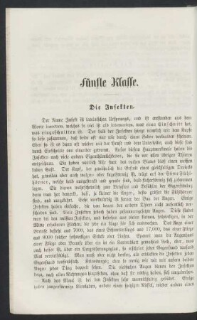 Fünfte Klasse. Die Insekten.
