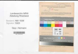 Entnazifizierung Hermann Geyr , geb. 18.09.1914 (Zollbeamter)