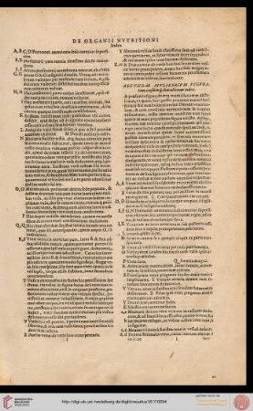 Secundae muliebrium figurarum eiusdemque characterum index