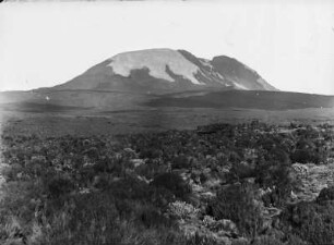 Kibo : Der Kibo im Kilimandscharomassiv mit Gletscher von einer Wiese aus gesehen
