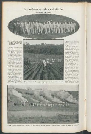 La enseñanza agrícola en el ejército : Prácticas culturales
