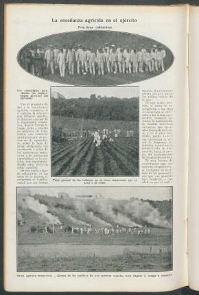 La enseñanza agrícola en el ejército : Prácticas culturales