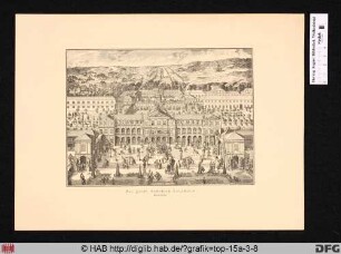 [Salzdahlum]: Das fürstl. Lustschloß Salzthalen. Gartenseite.
