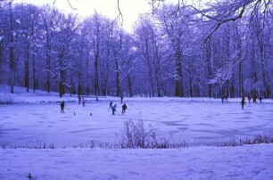 Kurpark: Salzteich im Winter