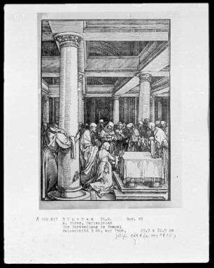 Große Passion, Apokalypse und Marienleben — Marienleben — Die Darstellung im Tempel