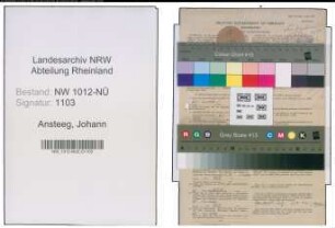 Entnazifizierung Johann Ansteeg , geb. 31.03.1896 (Angestellter)