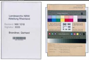 Entnazifizierung Gerhard Brandtner , geb. 29.05.1903 (Ingenieur)