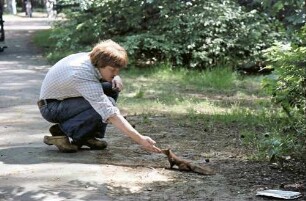 Berlin: Eichhörnchen Fütterung an der Krummen Lanke