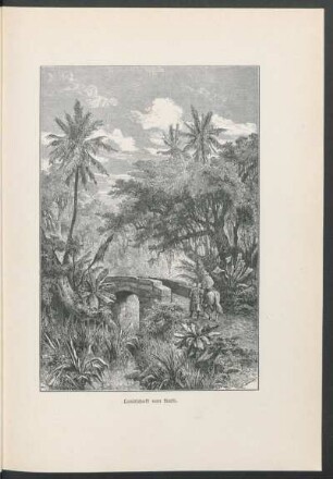 Landschaft von Haiti.