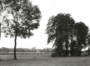Leipziger Land. Auenlandschaft