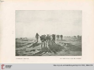 [Heft 12 (15. März 1904)]