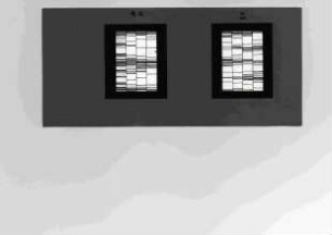Entwurf für hochrechteckige Fenster