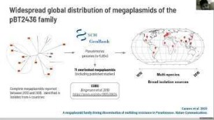 Combining sequencing technologies and data mining to study (mega)plasmid families