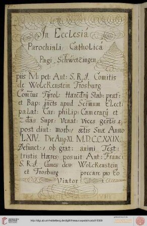 (295) Schwetzingen
