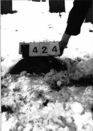 Grabstein 424 abgebrochen: Grabstein 424