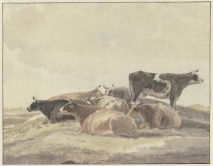 Auf einem Hügel sechs liegende und eine stehende Kuh
