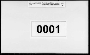 Sadisdorfer und Naundorfer Bergbuch