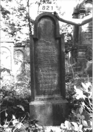Grabstein 821