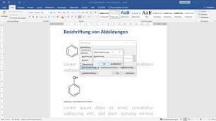 Word: Fachlich Arbeiten - Beschriftungen von Abbildungen und Tabellen