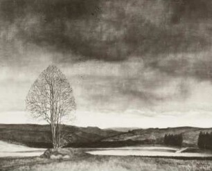 Landschaft mit See
