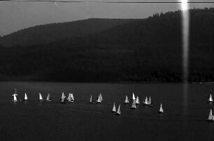 Segelregatta auf dem Schluchsee