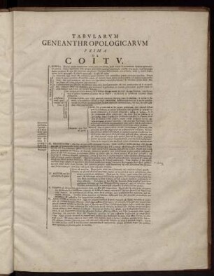 Tabularum Geneanthropologicarum Prima De Coitu