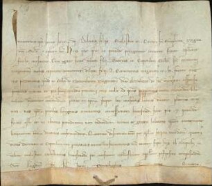 Mommenheim: Bulla Innocenty IIII. Confirmationis incorporationis parochiae Mummenheim ad Capit. Eccl. St. Maurity Mogunt.