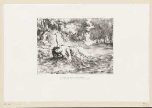 Ophelias Tod, Blatt 13 der Folge "Illustrationen zu Shakespears Hamlet"