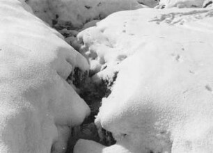 Schnee!