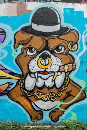 STeVe