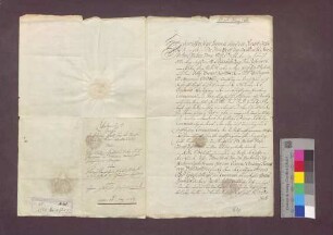 Vertrg zwischen der Basler Dompropstei und den Dominikanern zu Freiburg wegen des Hauptfalls zu Tiengen.