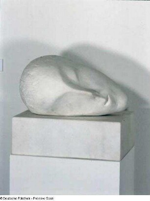 Sleeping Muse