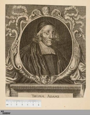 [Bildnis Thomas Adams]