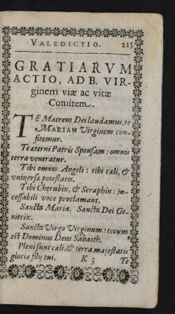 Gratiarum Actio, Ad B. Virginem viae ac vitae Comitem.